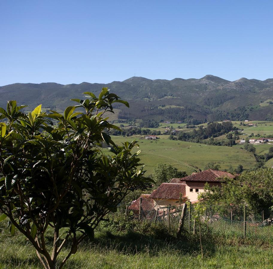 Tresgrandas Hotel Rural Valleoscuru מראה חיצוני תמונה